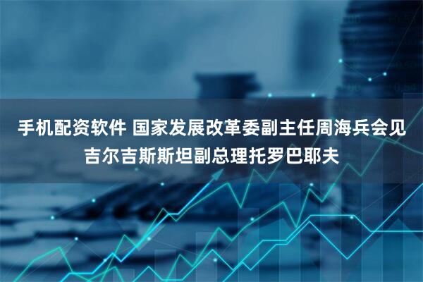 手机配资软件 国家发展改革委副主任周海兵会见吉尔吉斯斯坦副总理托罗巴耶夫