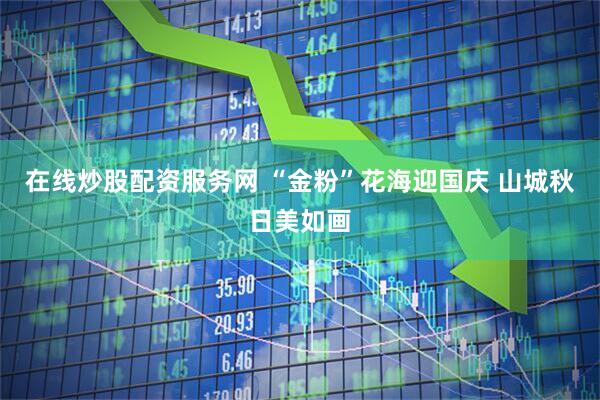 在线炒股配资服务网 “金粉”花海迎国庆 山城秋日美如画