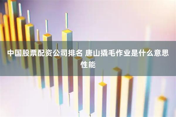 中国股票配资公司排名 唐山撬毛作业是什么意思性能